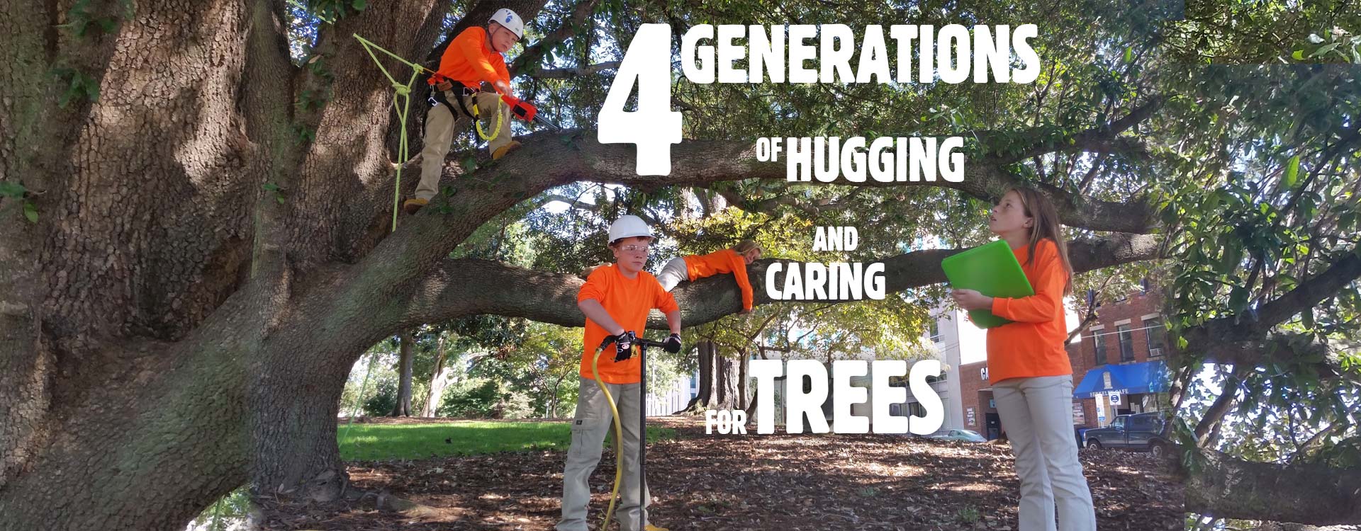 Garner Tree Care
